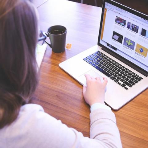 Медведев допустил отключение России от интернета