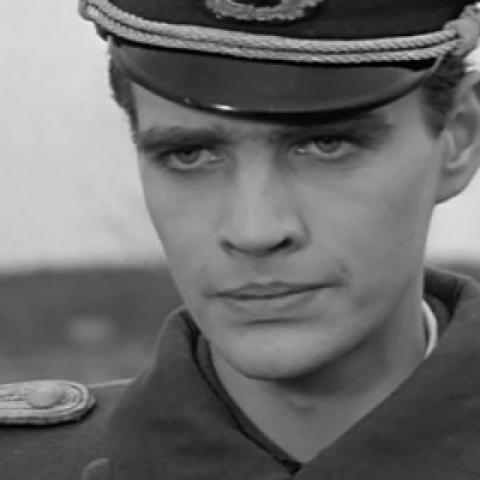 СМИ: Актер Дмитрий Писаренко найден мертвым СМИ: Актер Дмитрий Писаренко найден мертвым