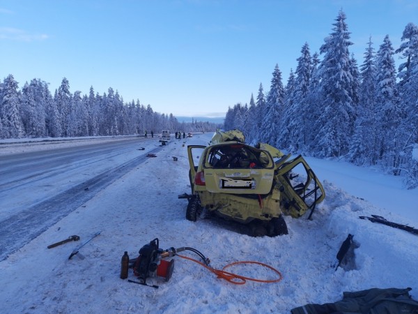 Везли детей на курорт: в ДТП на трассе лесовоз раздавил семью из Петербурга