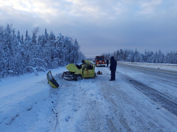 Везли детей на курорт: в ДТП на трассе лесовоз раздавил семью из Петербурга