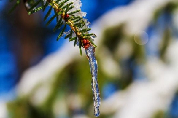 Осторожно, оттепель! В Татарстан идет мокрый снег с дождем