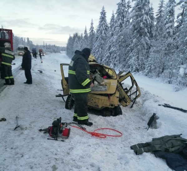 Везли детей на курорт: в ДТП на трассе лесовоз раздавил семью из Петербурга