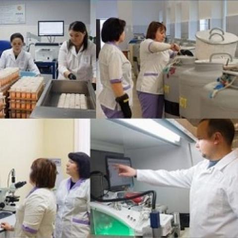 "Элита" продолжает набирать специалистов в свою команду