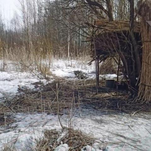 Скелет ребенка и хижину нашли подростки в парке на юге Санкт-Петербурга