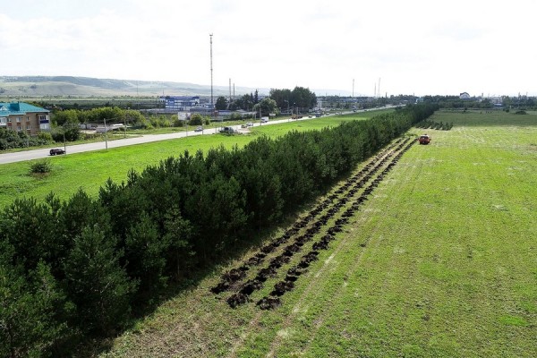 Татнефть взяла курс на углеродную нейтральность