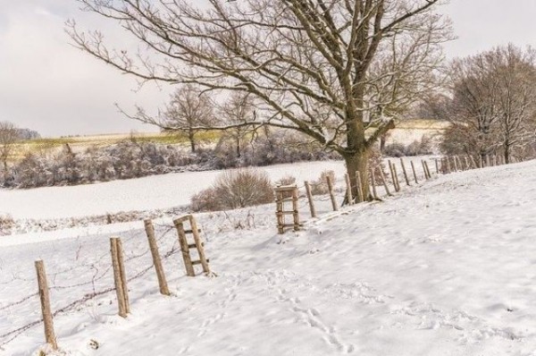 Татарстанцы бросились покупать землю