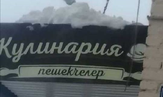 Жительница Чистополя пожаловалась на ошибку в татарской вывеске