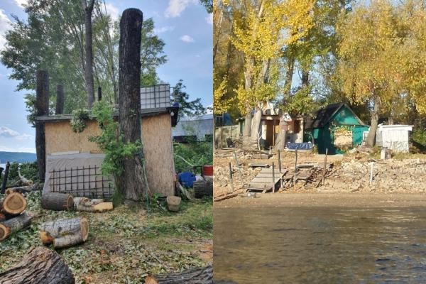 И так будет с каждым?.. Казанцу, который обрезал аварийные деревья на собственной даче, грозит штраф в полмиллиона