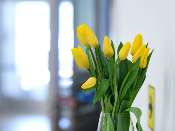 Женский день в музеях Казанского Кремля: знакомство с Екатериной II, роспись оружия и диагностика ювелирных изделий