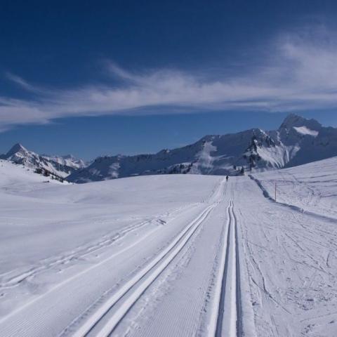 Лыжники из Татарстана и Удмуртии подрались из-за сломанной палки на чемпионате России