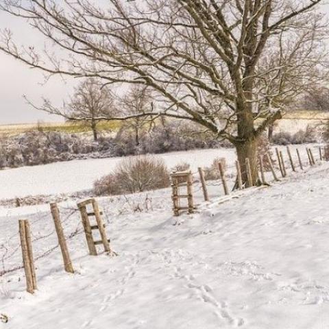 Татарстанцы бросились покупать землю