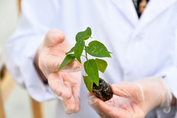 Татнефть взяла курс на углеродную нейтральность