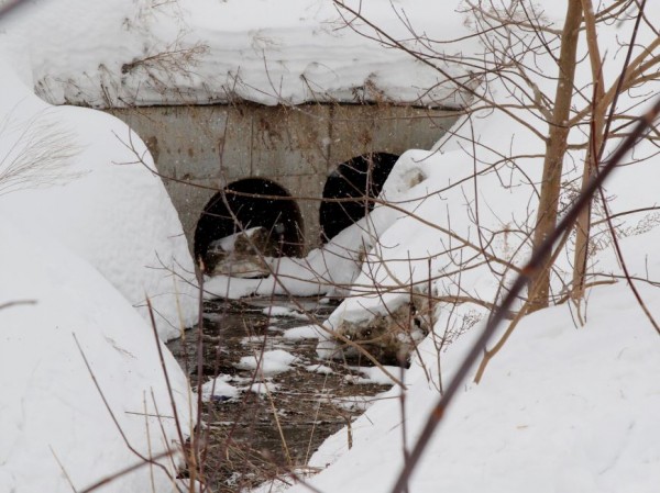 В поселке Салмачи расчистили русло реки Ноксы для прохождения талых вод