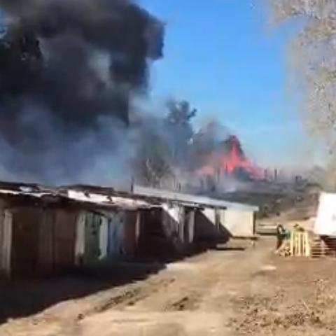 В Зеленодольске возле леса полыхает трава: жители заметили черный дым (ВИДЕО)