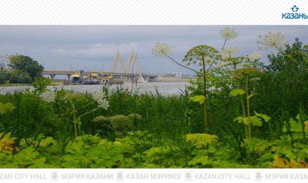 Ильсур Метшин: &laquo;Давайте все вместе наведем порядок после зимы в нашей любимой Казани&raquo;