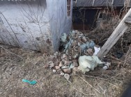 В Бугульме полицейские задержали местного жителя, подозреваемого в незаконном обороте оружия