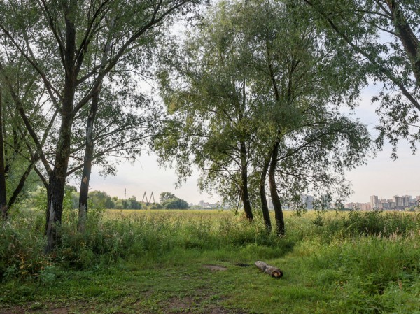 Экологи из команды &laquo;БорщеВиктори&raquo; научат казанцев бороться с опасным сорным растением