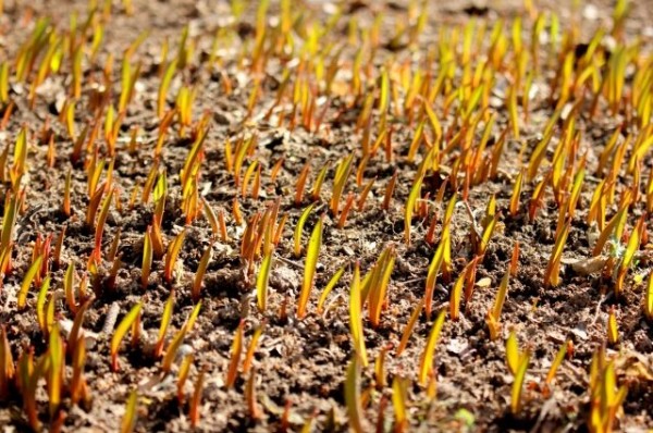 До минус пяти. Из Татарстана уходит апрельская жара