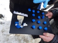 В Альметьевске полицейские задержали семейную пару, подозреваемую в сбыте наркотиков   