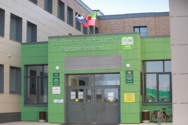 &laquo;Мы же не в лесу живем!&raquo;: в Татарстане бродячие псы едва не загрызли насмерть сына прокурора