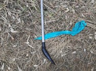 В Бугульме полицейские задержали местного жителя, подозреваемого в незаконном обороте оружия