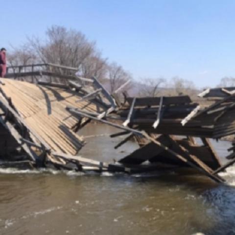 Вице-мисс Приморья рассказала, как чудом выжила в ДТП с упавшим с моста Lexus