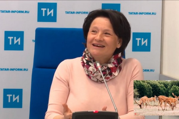 &laquo;И на юга ездить не надо!&raquo;: Татарстан заманивает туристов ананасами и оленьими боями