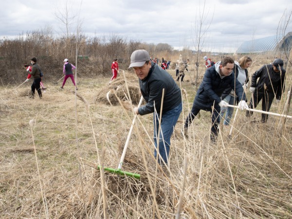 В Казани в субботнике приняли участие 60 тыс. горожан