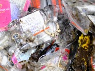 Полицейские Татарстана изъяли драгоценности, похищенные во время Чемпионата мира по футболу в Казани Полицейские Татарстана изъяли драгоценности, похищенные во время Чемпионата мира по футболу в Казани