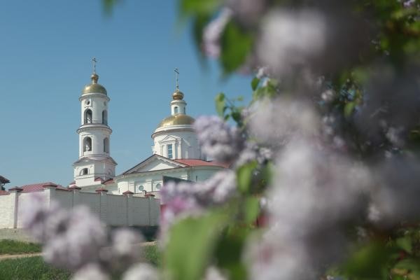 &laquo;У них нет ни памяти, ни души, только бизнес&raquo;: в Ключищах под Казанью вырубили знаменитый яблоневый сад