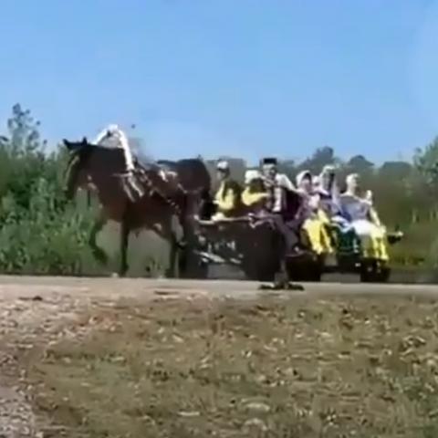 В Башкирии водитель протаранил повозку с людьми, которые ехали на сельский праздник (ВИДЕО)