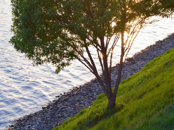 Казанцы могут проголосовать за общественные пространства и дворы для благоустройства в 2022 году