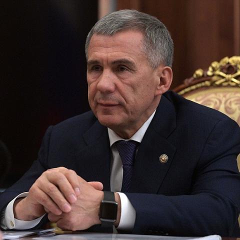 &laquo;Как жив остался?&raquo;: Минниханов после инцидента в Осиново поручил организовать отлов собак в районах