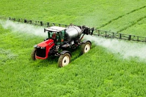 Буржуи против пчел: пасечники в Татарстане снова винят агрохолдинги в гибели своих кормилиц