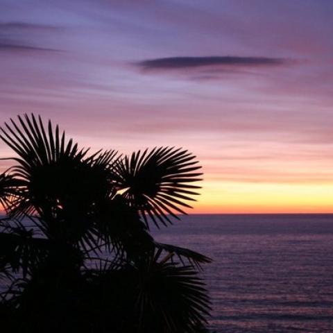 Курорты Краснодарского края закроют для непривитых с 1 августа