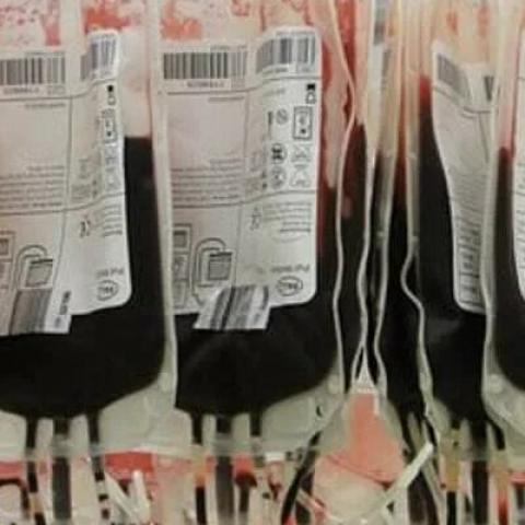 Более тысячи казанцев пришли сдать кровь в день трагедии в гимназии №175 Более тысячи казанцев пришли сдать кровь в день трагедии в гимназии №175