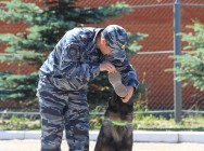 В Центре кинологической службы Управления МВД России по г.Казани прошел «День открытых дверей» В Центре кинологической службы Управления МВД России по г.Казани прошел «День открытых дверей»