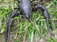 В Татарстане пресечена деятельность по незаконной добыче водных биологических ресурсов