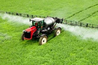 Буржуи против пчел: пасечники в Татарстане снова винят агрохолдинги в гибели своих кормилиц