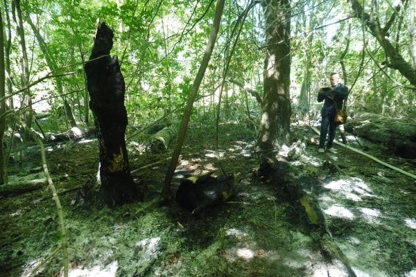 &laquo;Очагов возгорания подозрительно много&raquo;: кто поджигает Русско-Немецкую Швейцарию в Казани?