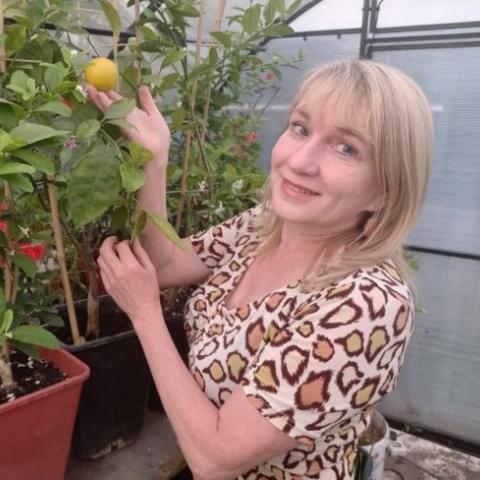 Жительница Татарстана выращивает в теплице у дома бананы и апельсины