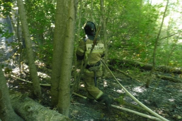 &laquo;Очагов возгорания подозрительно много&raquo;: кто поджигает Русско-Немецкую Швейцарию в Казани?