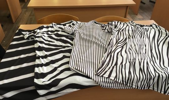 Казанский школьник придумал футболки, которые защищают от комаров