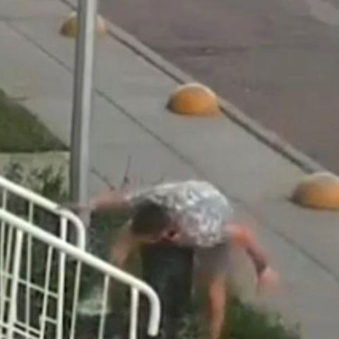 В Челнах подростки пытались избить урну и получили сдачу (ВИДЕО)