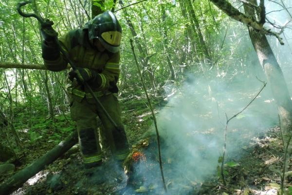&laquo;Очагов возгорания подозрительно много&raquo;: кто поджигает Русско-Немецкую Швейцарию в Казани?