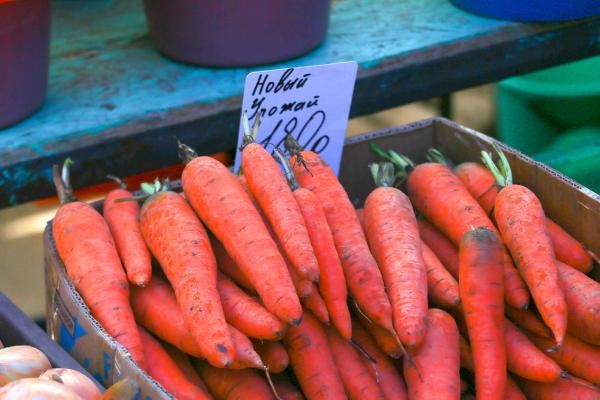 «Ты стала украшением стола!»: казанцы ошалели от бешеных цен на морковку «Ты стала украшением стола!»: казанцы ошалели от бешеных цен на морковку