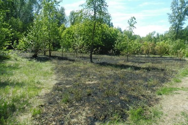 &laquo;Очагов возгорания подозрительно много&raquo;: кто поджигает Русско-Немецкую Швейцарию в Казани?