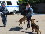 В Центре кинологической службы Управления МВД России по г.Казани прошел «День открытых дверей» В Центре кинологической службы Управления МВД России по г.Казани прошел «День открытых дверей»