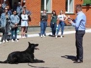 В Центре кинологической службы Управления МВД России по г.Казани прошел «День открытых дверей» В Центре кинологической службы Управления МВД России по г.Казани прошел «День открытых дверей»