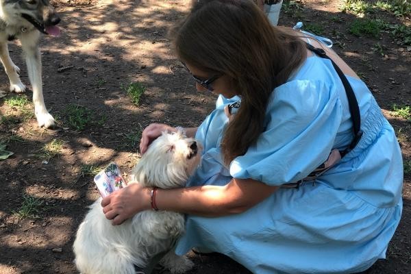 &laquo;Сразу поняла, что это &laquo;моя&raquo; собака&raquo;: шесть обитателей казанского приюта &laquo;Зооцентр&raquo; нашли себе дом